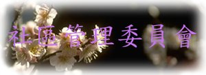 ޲ze|